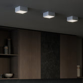 Mine wall - ceiling lamp - Pendant | Zafferano Italia